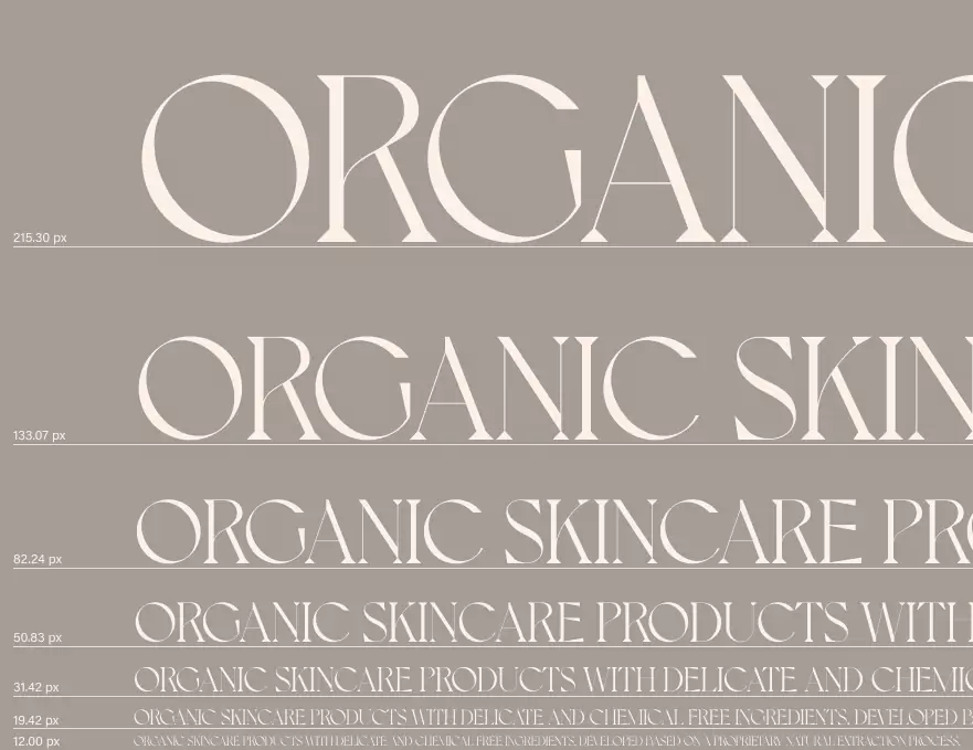 Brand Identity for Jania - Typography Hierarchy Design